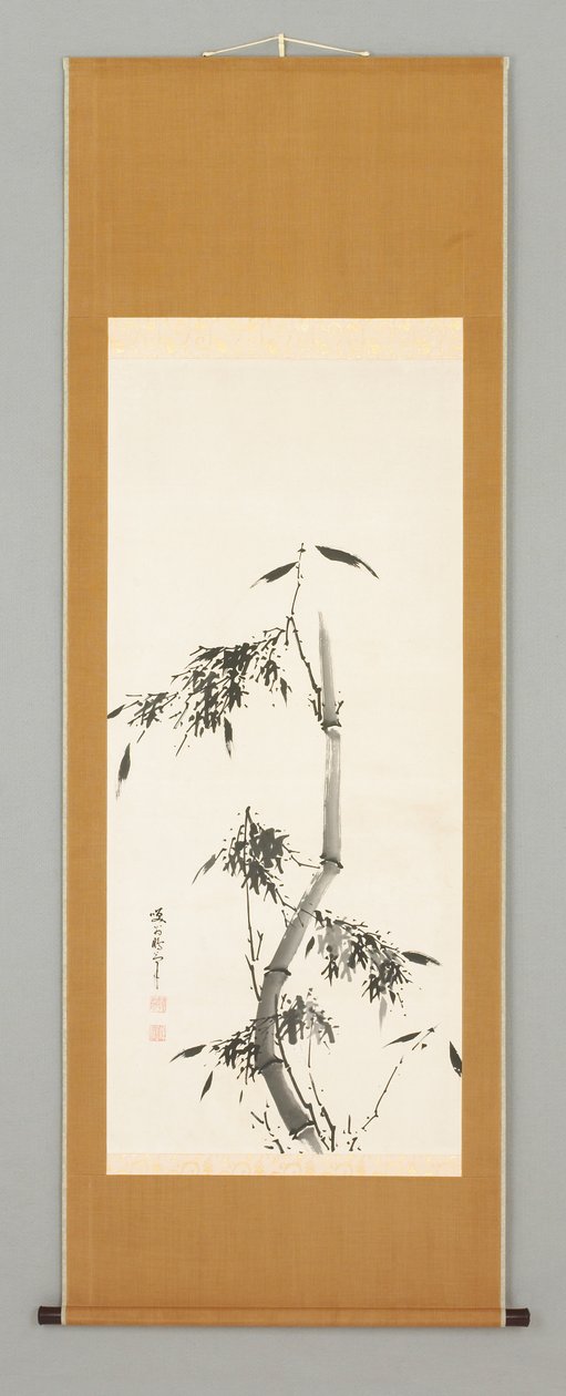 Bambú de Shokon Taiho