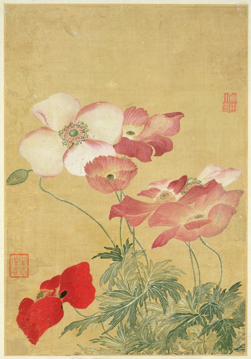 Imagen del Álbum de Cuadros de Flores (acuarela) de Shouping Yun