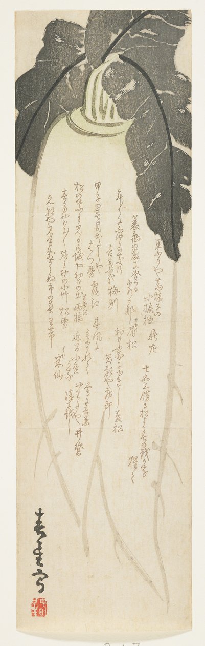 Rábano Daikon, enero de 1864 de Shunsei