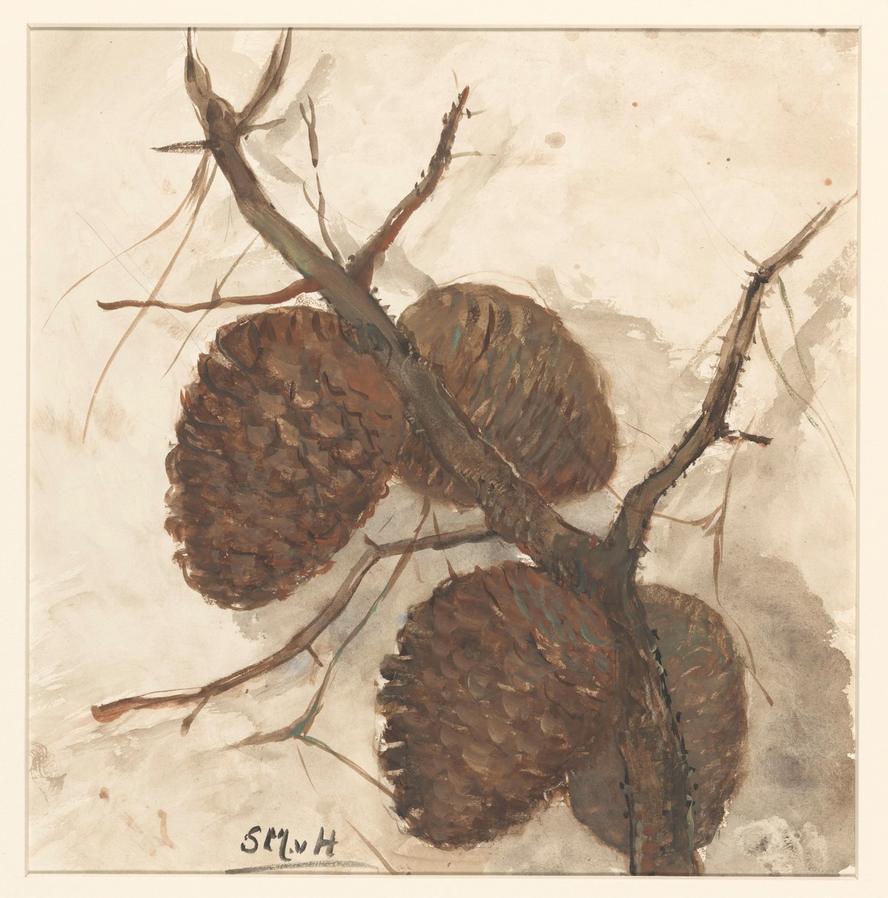 Manzanas de abeto en una rama de Sientje Mesdag van Houten