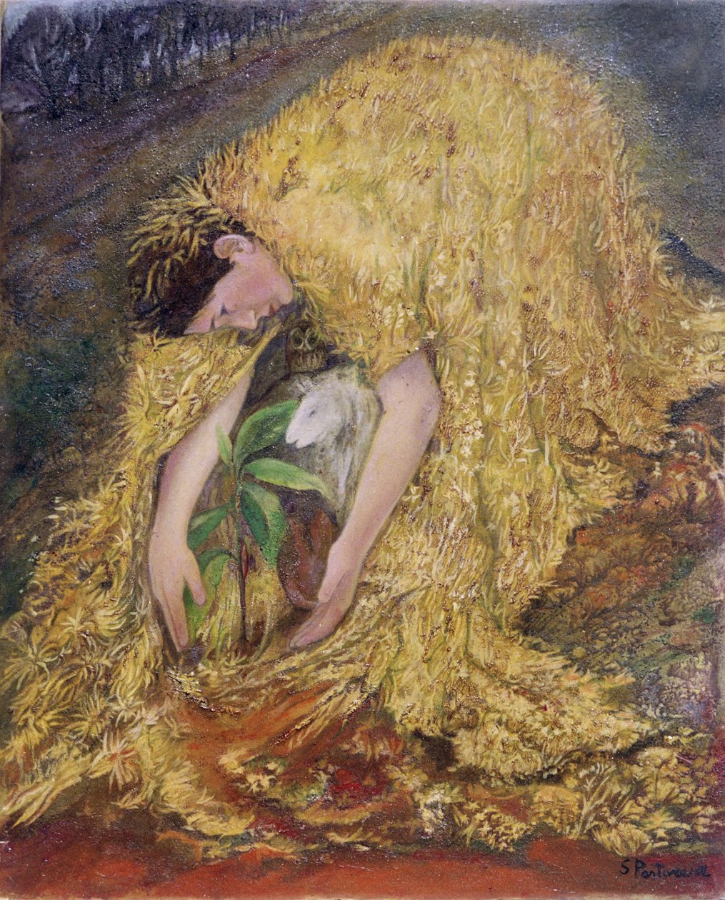 El jardinero, 2002 de Silvia Pastore