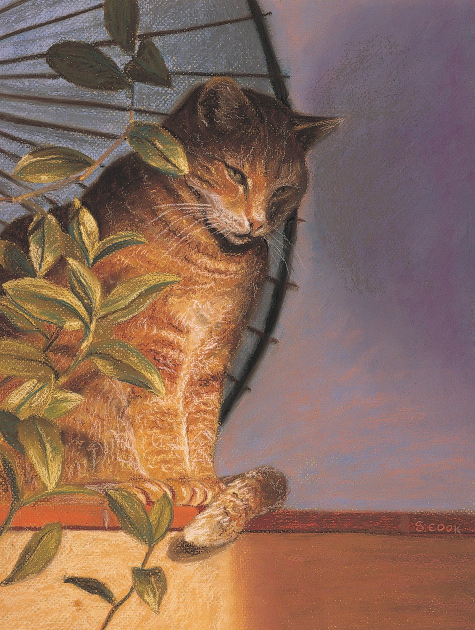 Contemplación de Simon Cook