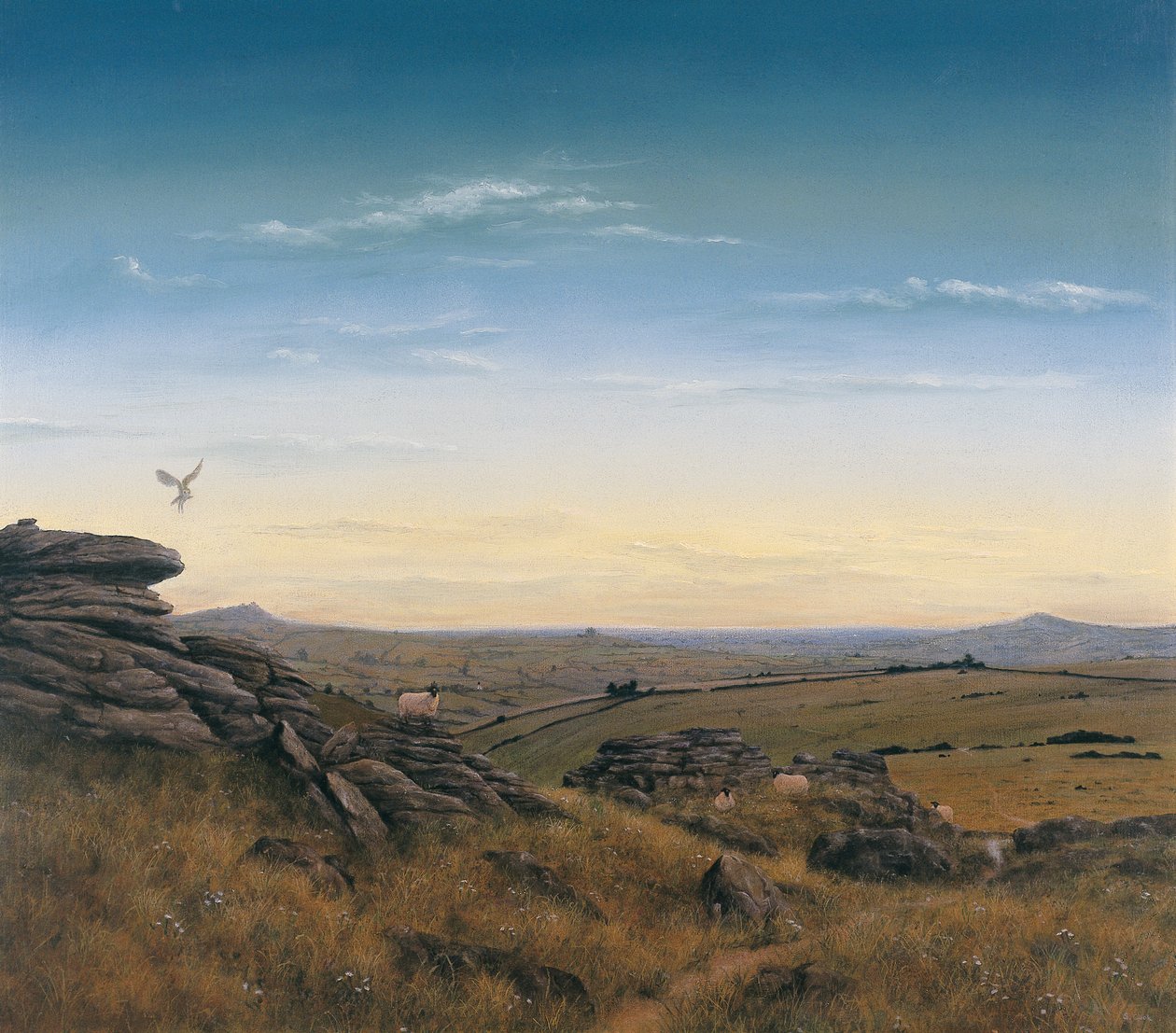 Cielo vespertino de Simon Cook
