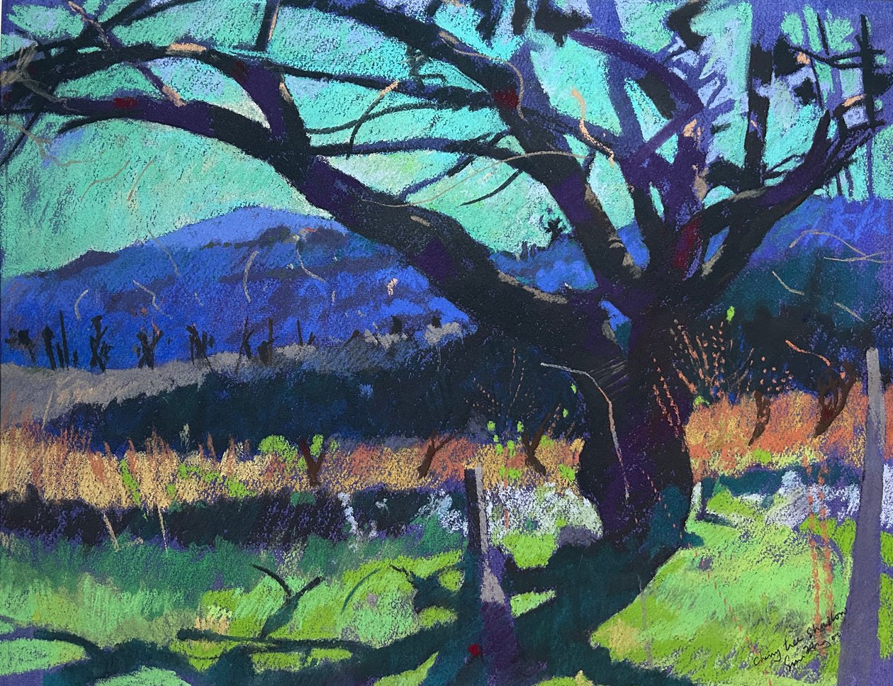 Sombra de cerezo, 2000 (pastel) de Simon Fletcher