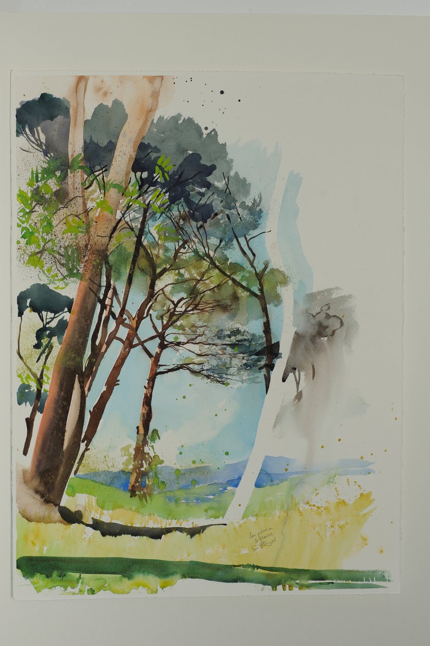 Pinos en San Blas, 2004 (acuarela sobre papel) de Simon Fletcher
