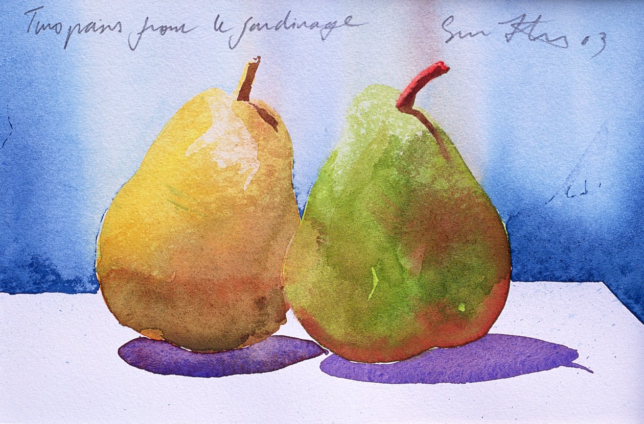 Dos peras del Jardinage, 2003 (acuarela sobre papel) de Simon Fletcher