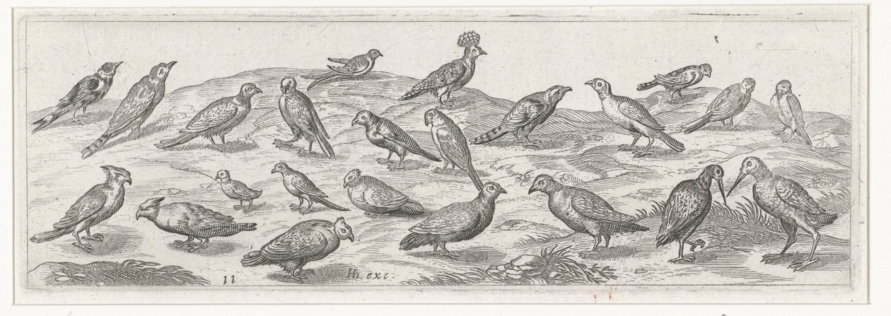 Paisaje con diferentes tipos de pájaros. Pájaros e insectos (título de la serie) de Simon Frisius