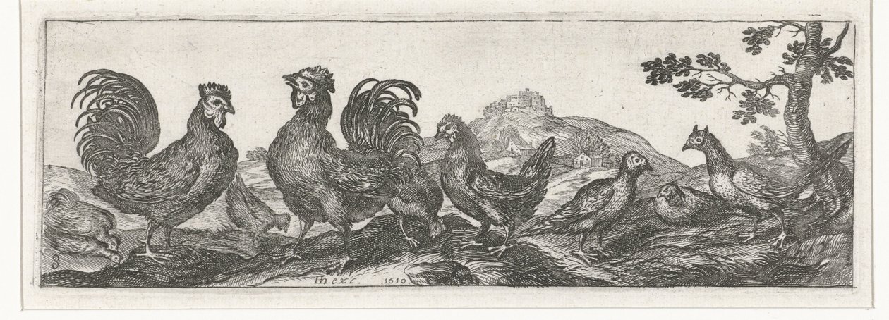 Aves de corral Pájaros e insectos (título de la serie) de Simon Frisius