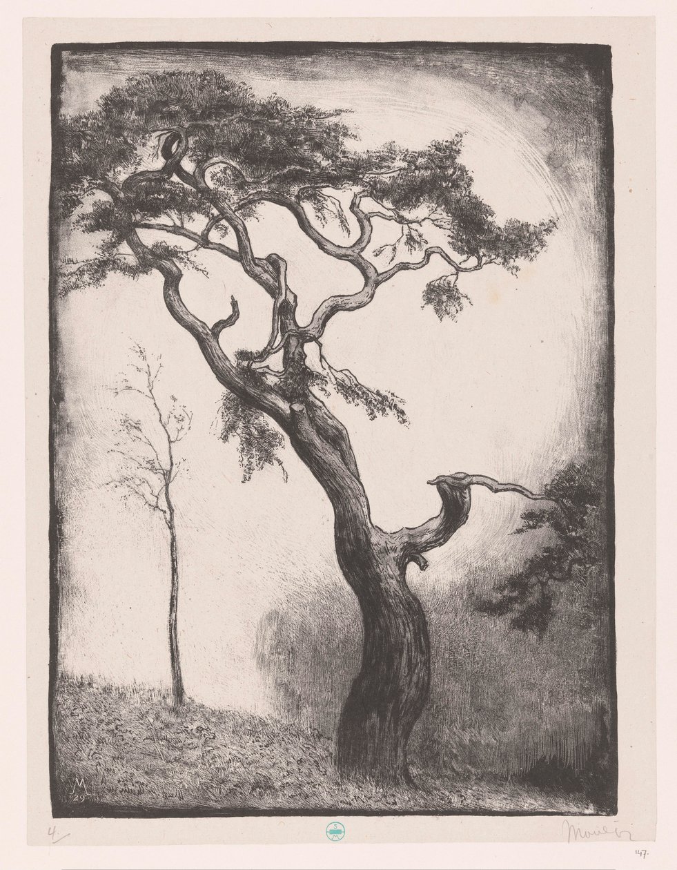 Pino de Simon Moulijn (signed by artist)
