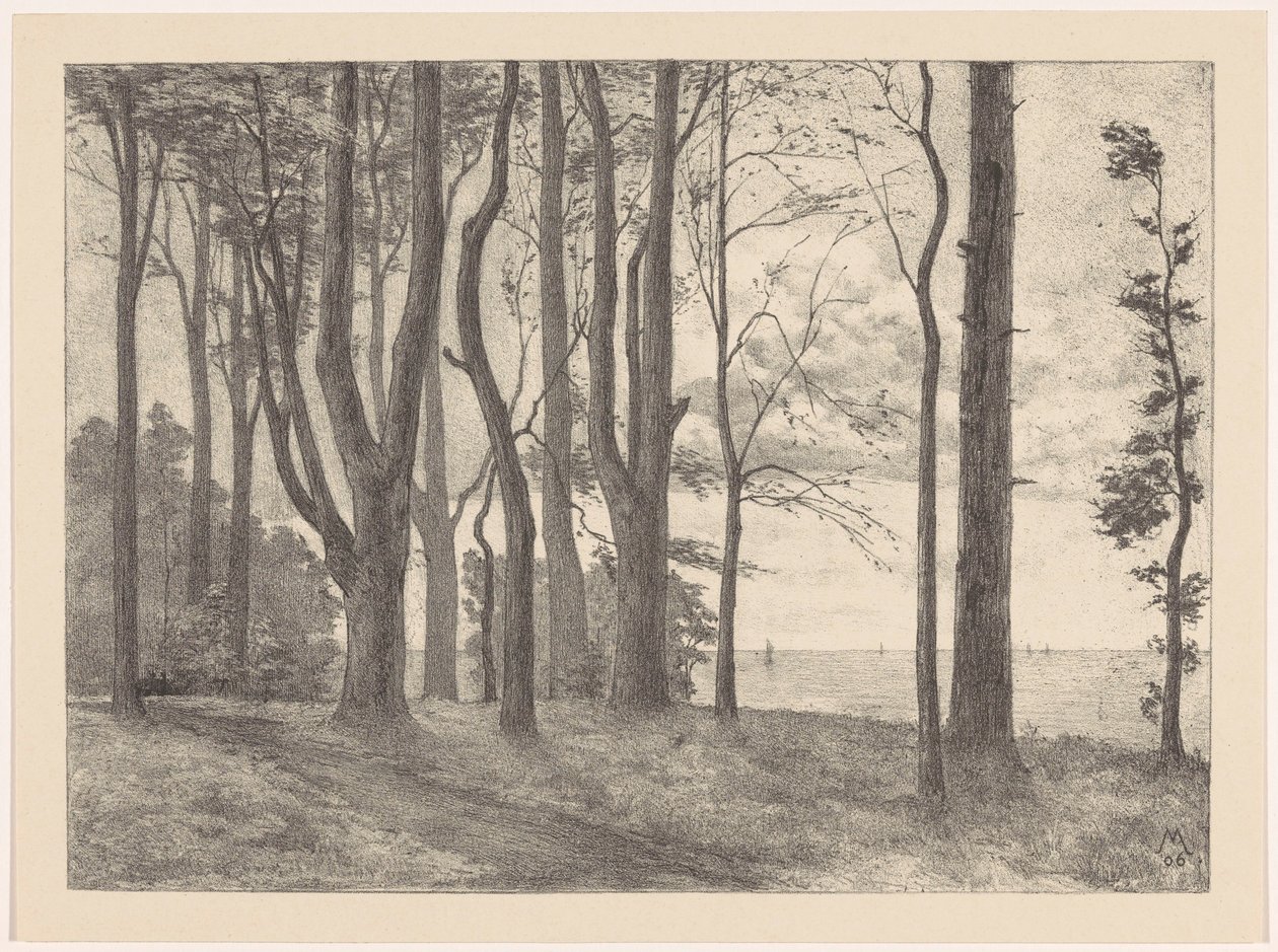 Árboles junto al agua con veleros
Valkeveen (título original) de Simon Moulijn