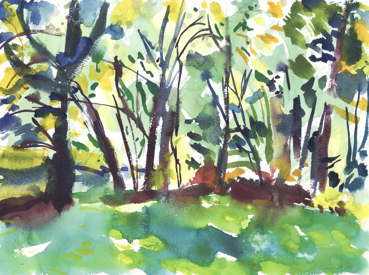 Jardín y humedal (acuarela sobre papel) de Simon Neville