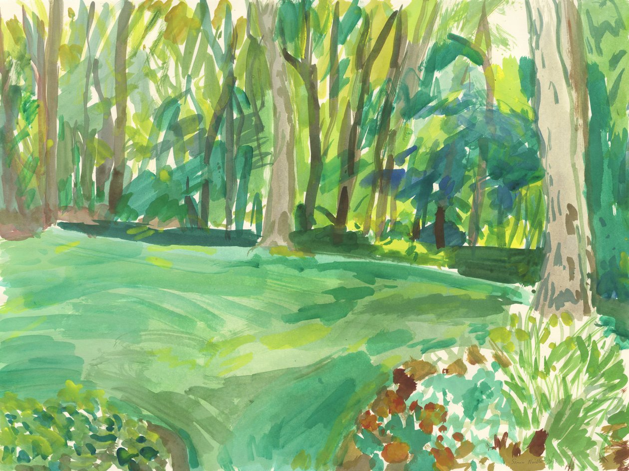 Jardín y humedal, 2018 (acuarela sobre papel) de Simon Neville