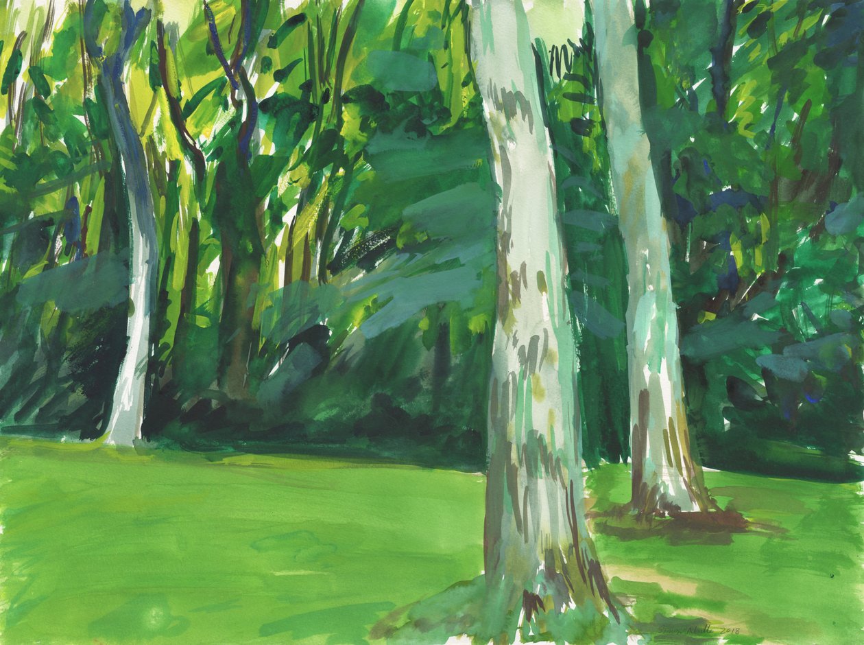 Jardín y humedal, 2018 (acuarela sobre papel) de Simon Neville