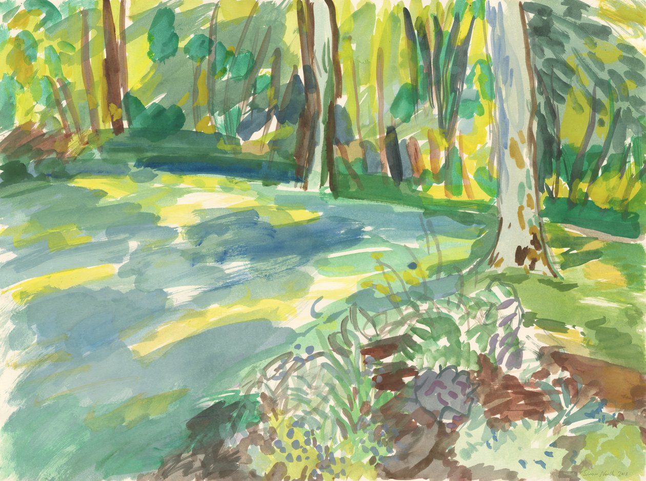 Jardín y humedal, 2018 (acuarela sobre papel) de Simon Neville