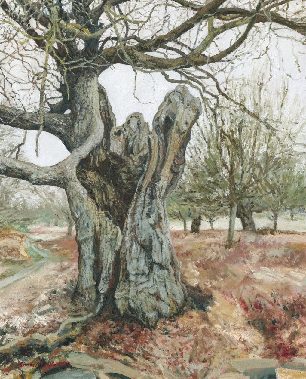 Árbol viejo, Richmond Park, 2018 (óleo sobre lino) de Simon Neville