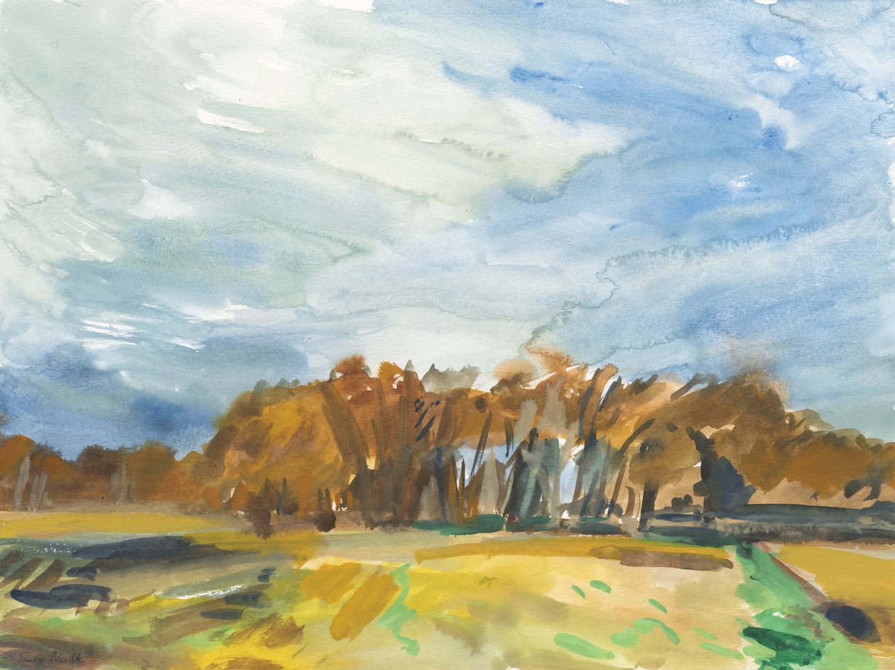 Richmond Park, 2018 (acuarela sobre papel) de Simon Neville