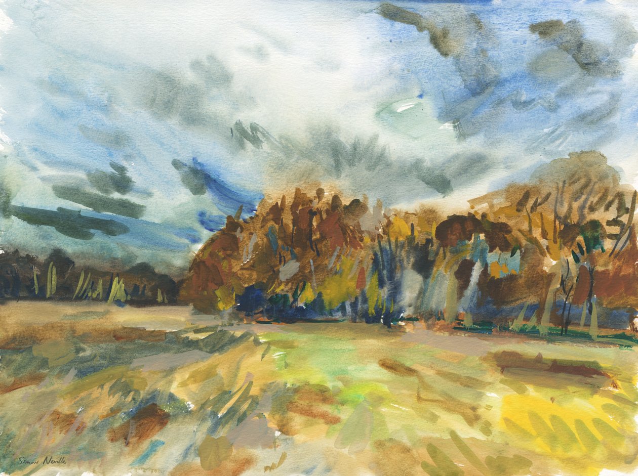 Richmond Park, 2018 (acuarela sobre papel) de Simon Neville