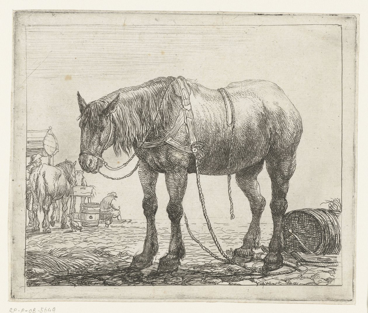 caballo de batalla en reposo Diferentes animales (título de la serie) Kite Bugs (título de la serie) de Simon de Vlieger