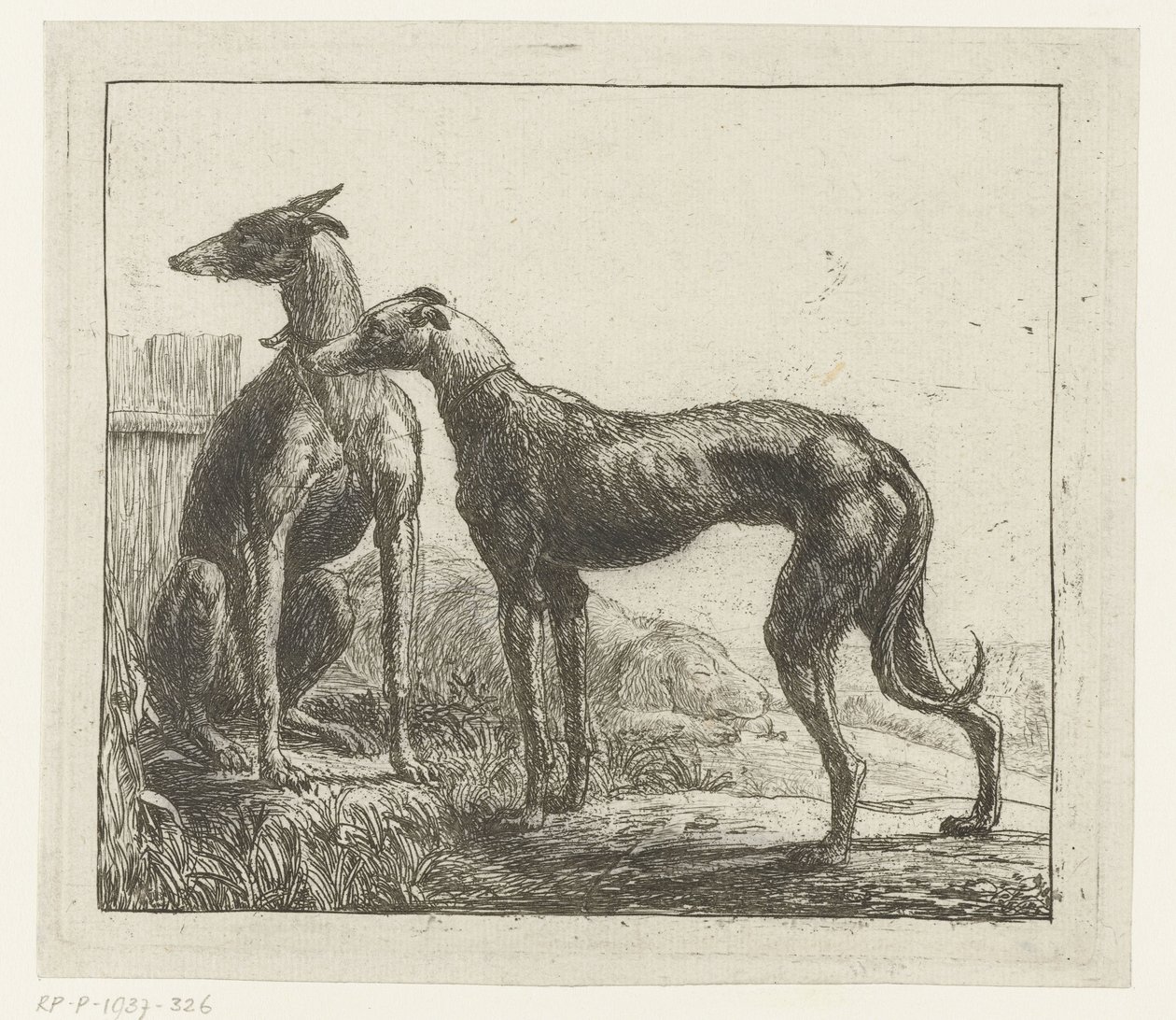 dos galgos Diferentes animales (título de la serie) Kite Bugs (título de la serie) de Simon de Vlieger