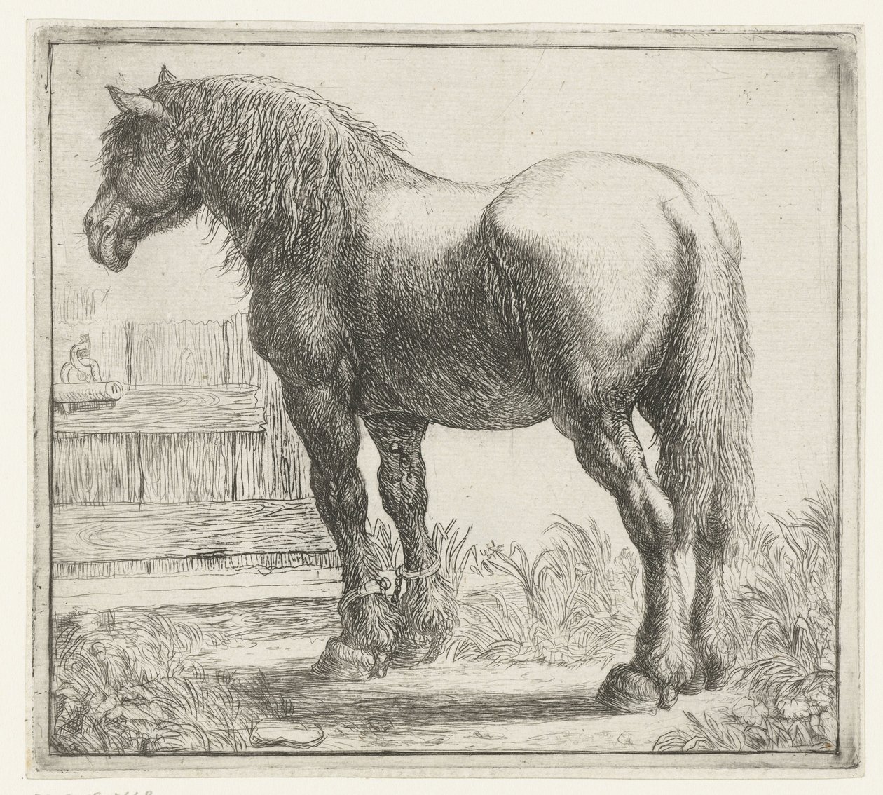 Caballo de batalla en una valla Diferentes animales (título de la serie) Kite Bugs (título de la serie) de Simon de Vlieger