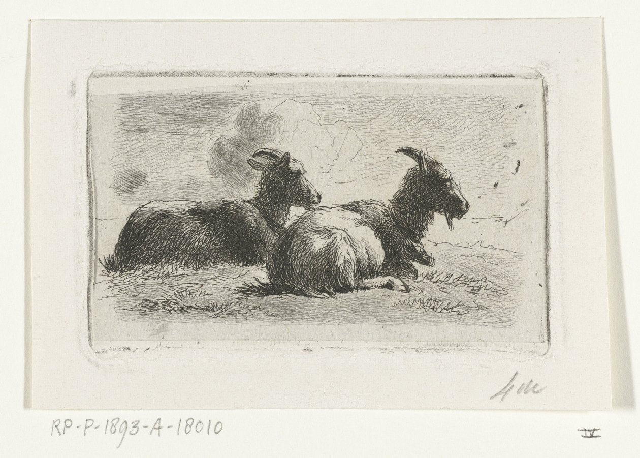 Dos cabras mentirosas de Simon van den Berg