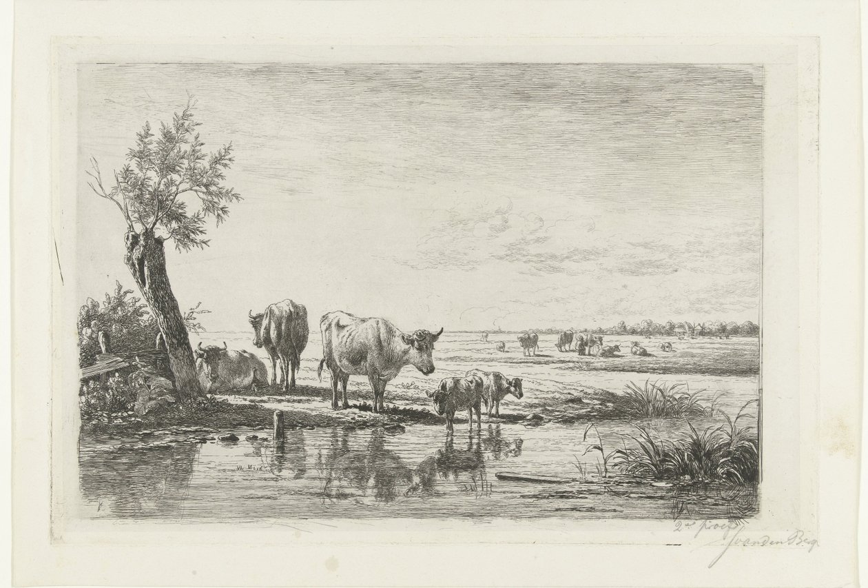 Paisaje de pasto con vacas cerca del agua. de Simon van den Berg