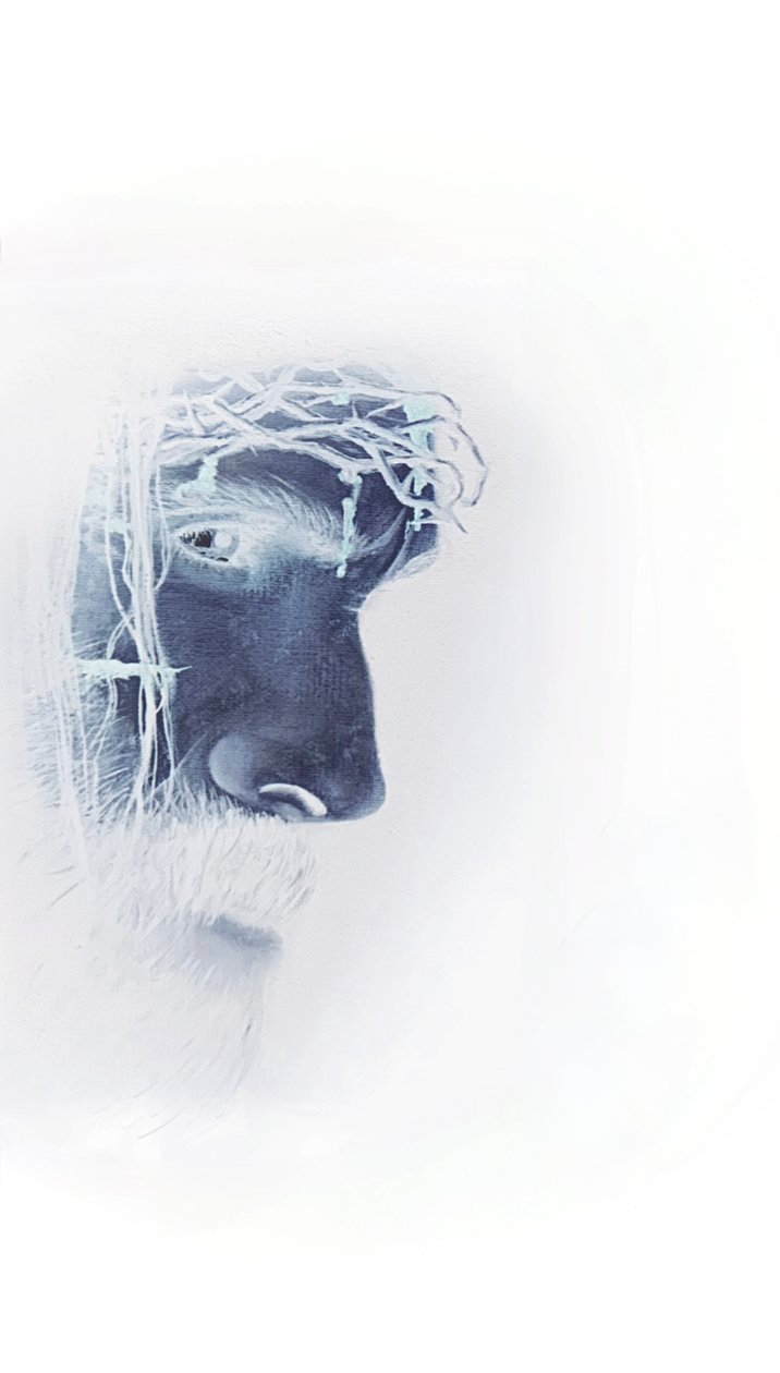 Jesús con corona de espinas de Simone Amon