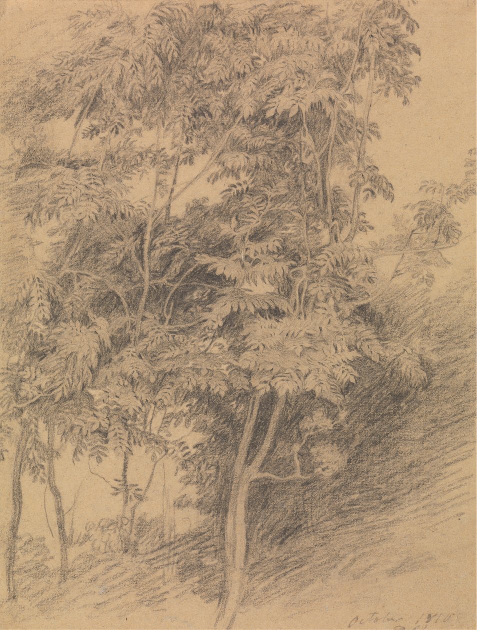 Estudio de árboles de Sir David Wilkie