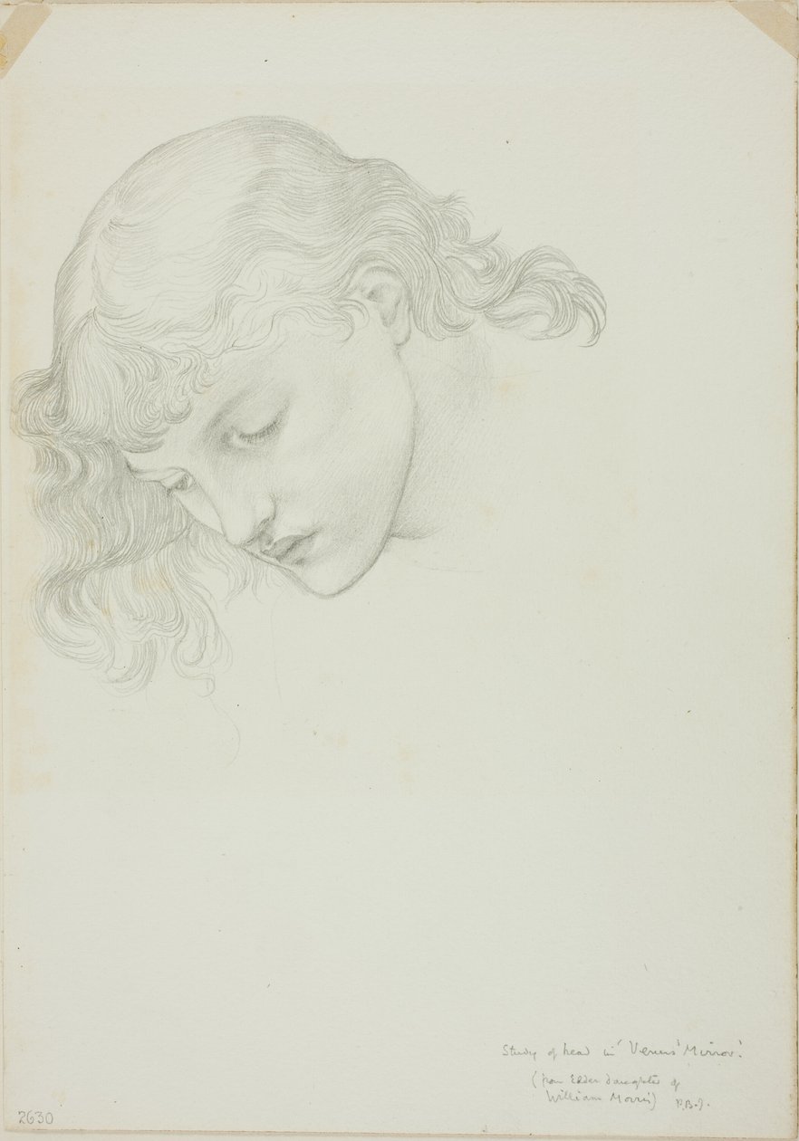 Cabeza, estudio para Espejo de Venus de Sir Edward Burne Jones