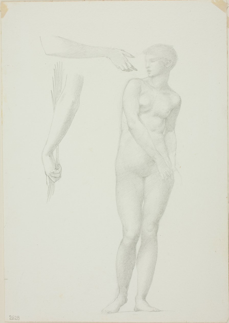 Desnudo femenino de pie y bocetos de brazos de Sir Edward Burne Jones