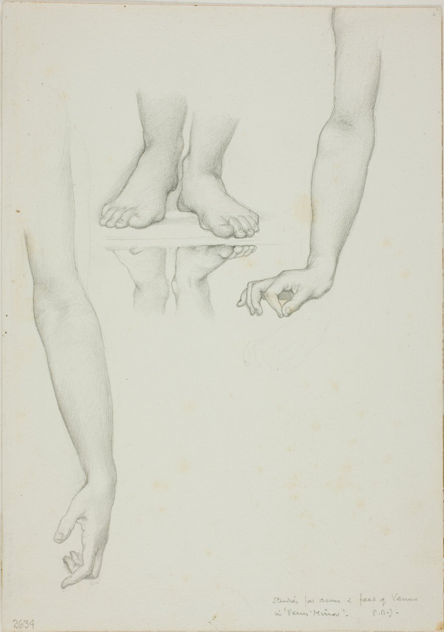 Estudio para Espejo de Venus: Brazos y pies de Venus de Sir Edward Burne Jones