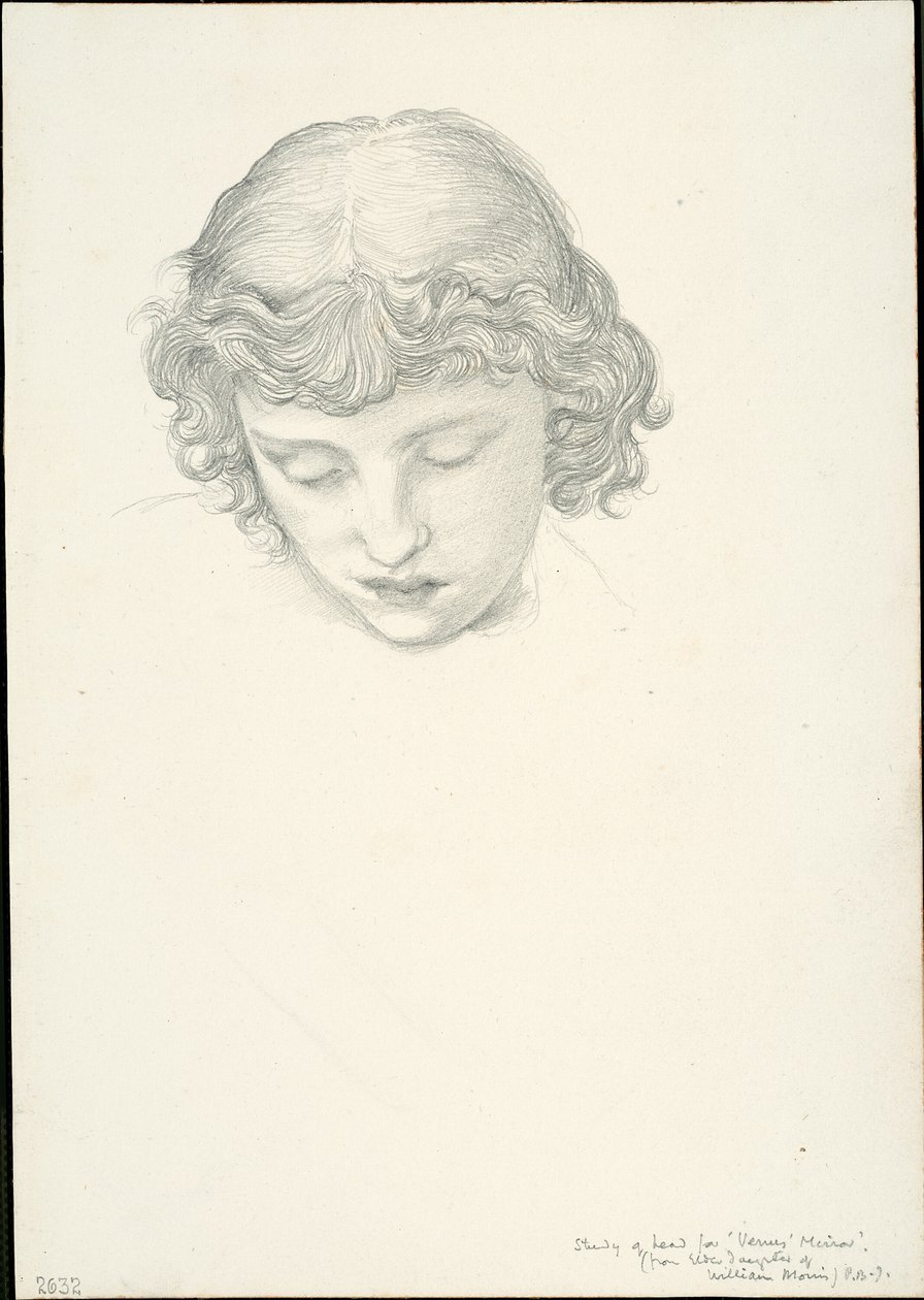 Estudio para Mirror of Venus: Head de Sir Edward Burne Jones