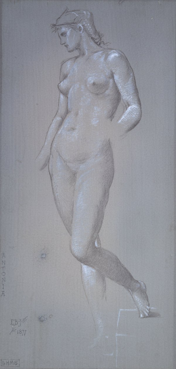 Antonia, 1877 de Sir Edward Coley Burne Jones
