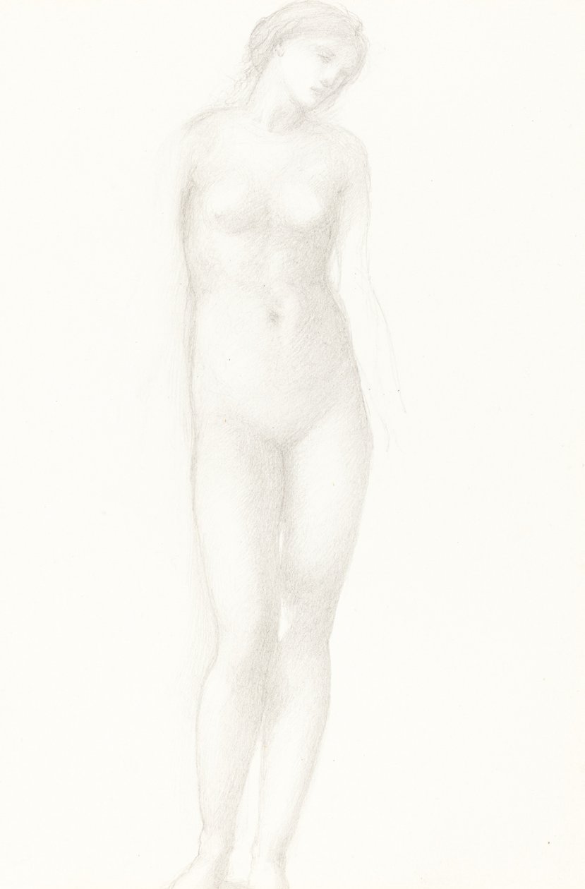 Venus de Sir Edward Coley Burne Jones