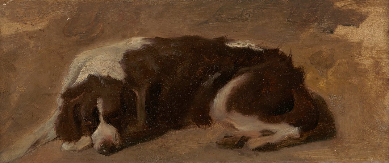 Un Spaniel tumbado de Sir Edwin Henry Landseer