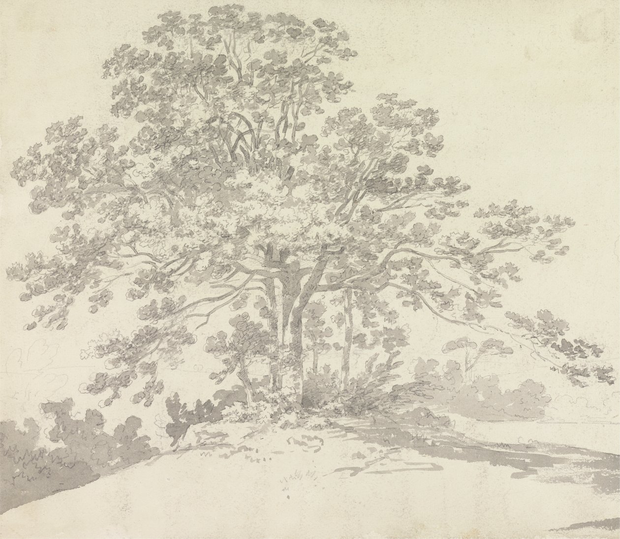 Árbol de Sir George Howland Beaumont seventh Baronet
