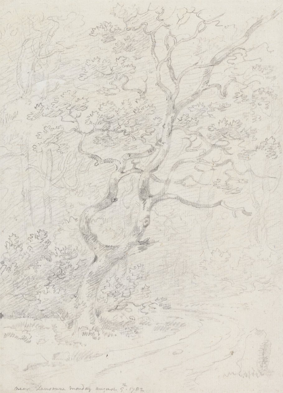 Árboles, cerca de Lausana de Sir George Howland Beaumont seventh Baronet