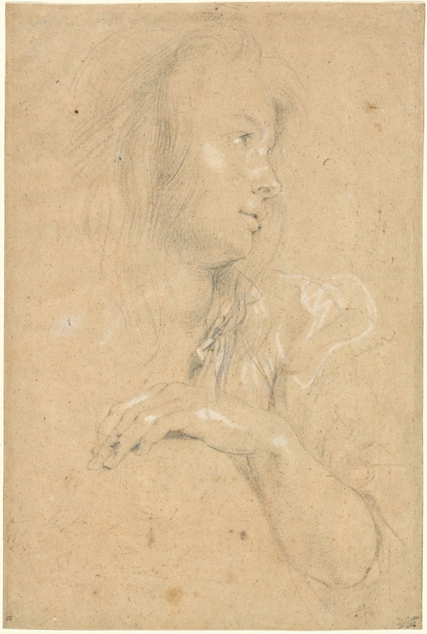 Joven Mujer de Perfil de Sir Peter Paul Rubens