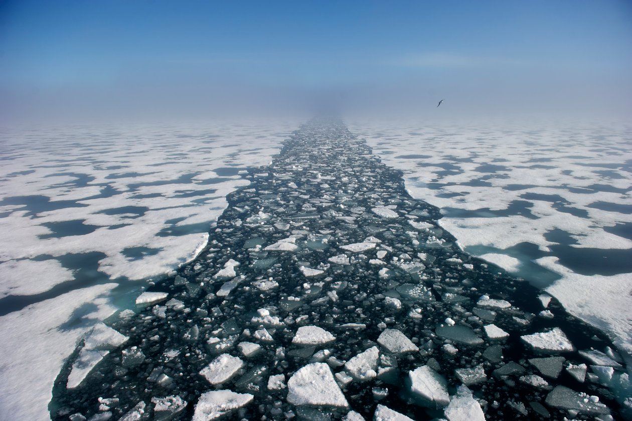 Paisaje ártico en el estrecho de Hinlopen, Noruega, 2022 (foto) de Sisse Brimberg