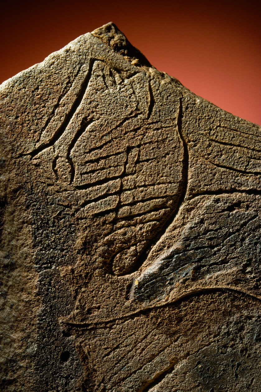 Elegante grabado de un perfil humano hallado en un alijo prehistórico de piedra caliza. de Sisse Brimberg