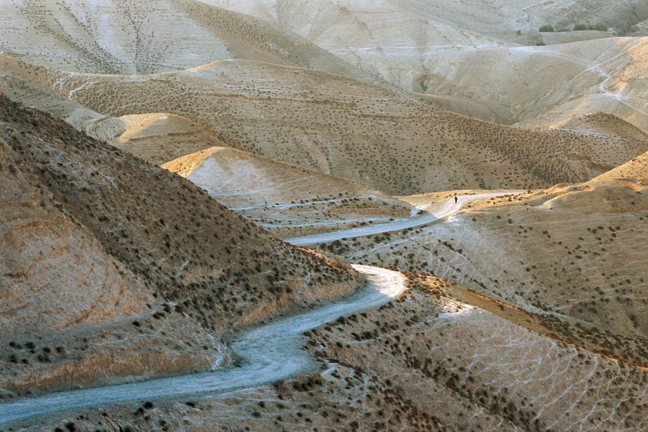 Israel, Judea: Escena de las colinas de Judea al este de Jerusalén, 2022 (foto) de Sisse Brimberg