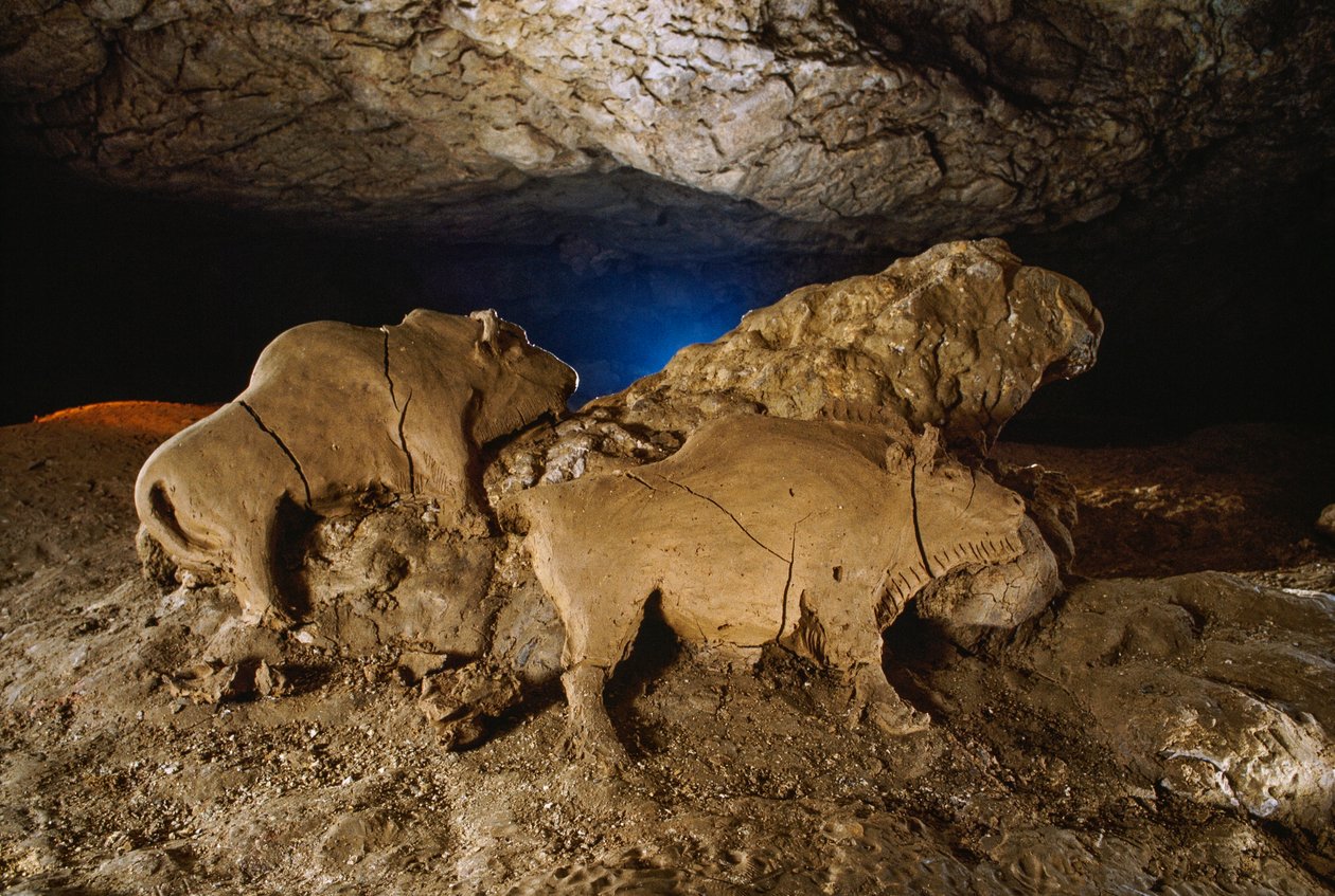 Los bisontes de barro de Le Tuc dâ€™Audoubert de Sisse Brimberg