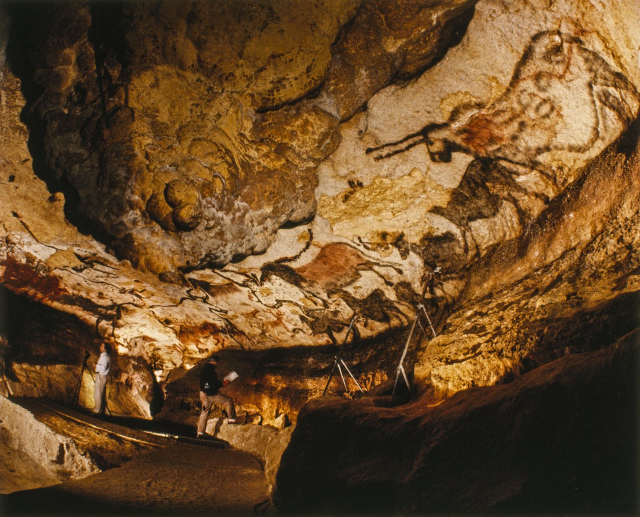 El mítico unicornio de Lascaux y otras pinturas de Lascaux realizadas hace más de 17.000 años. de Sisse Brimberg