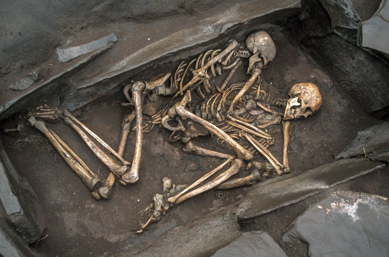 Los huesos de dos escitas yacen en una tumba de 3000 años de antigüedad en Arzhan-2., 2003 (foto) de Sisse Brimberg