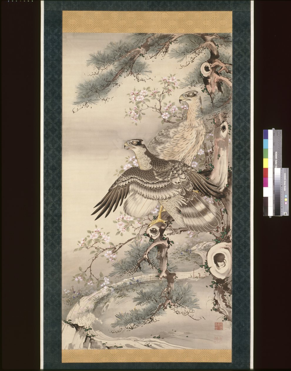 Pareja de halcones con rama y flores (tinta, color y oro sobre seda) de Soga Shohaku