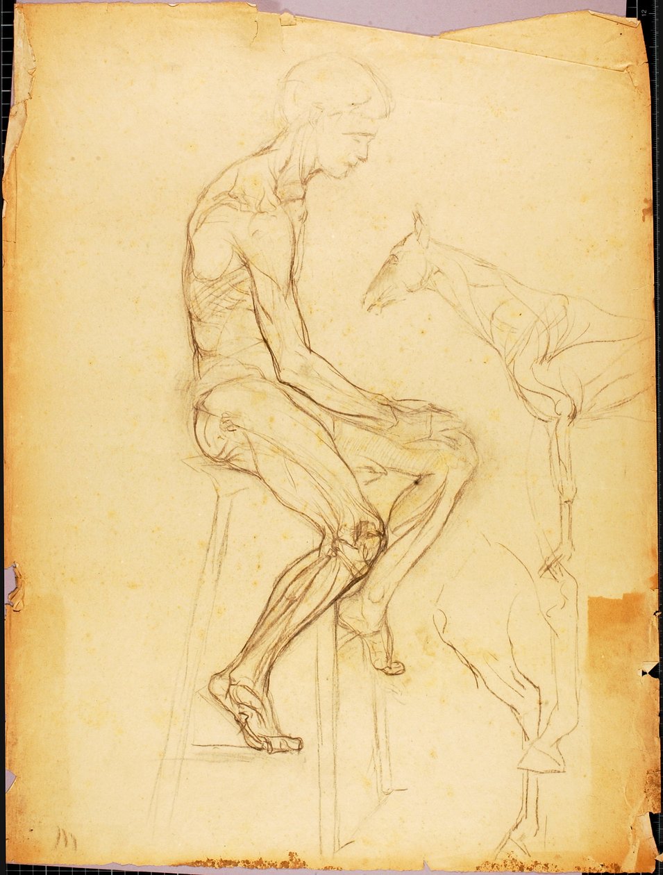 Chico de Solon H. Borglum