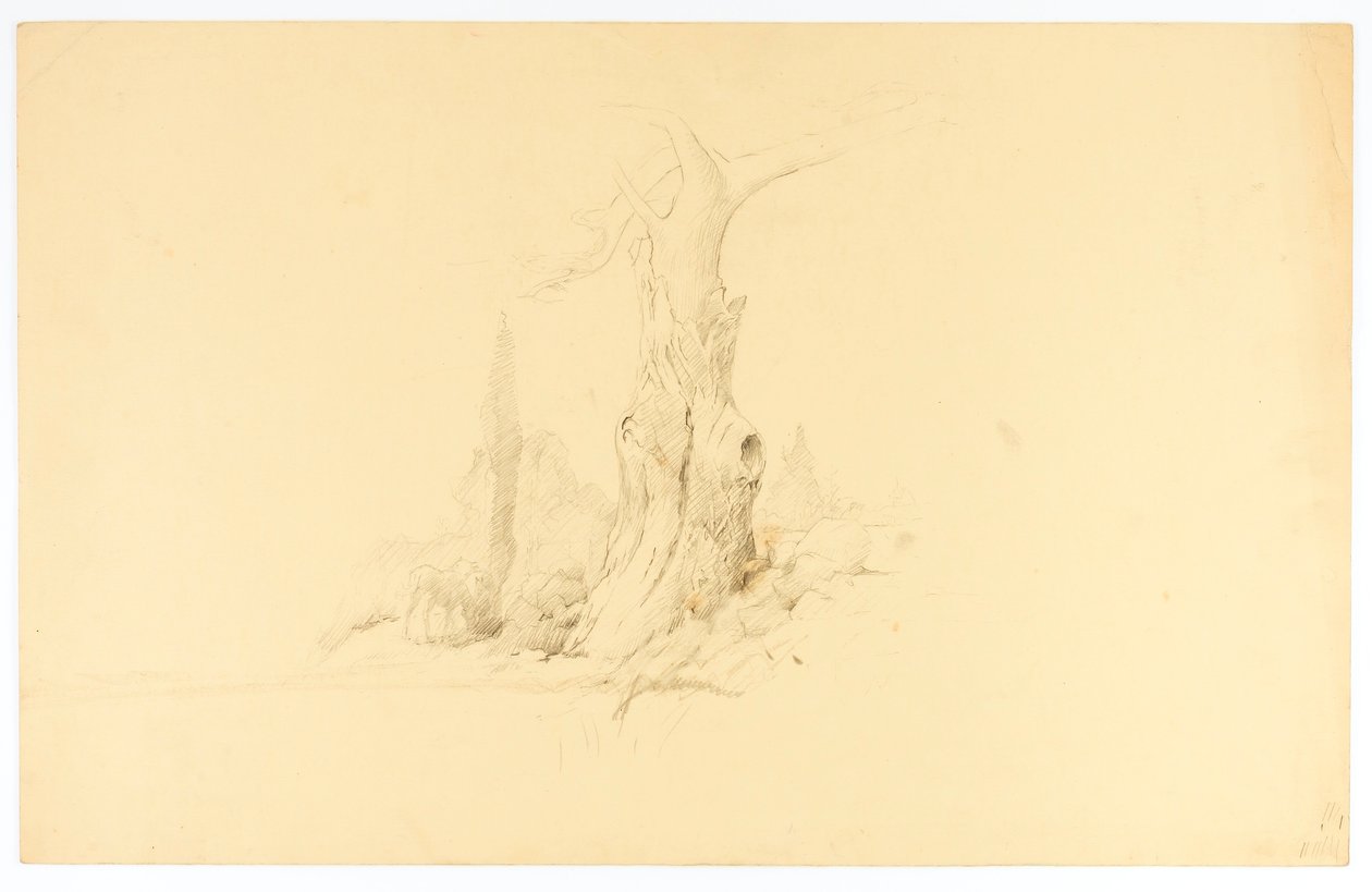 Árbol muerto y pastoreo de potros de Solon H. Borglum