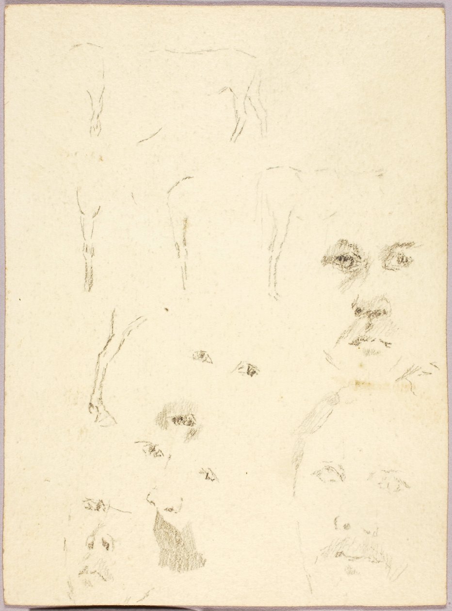 Caras de Solon H. Borglum