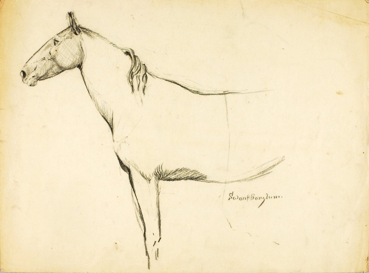 Caballo de Solon H. Borglum