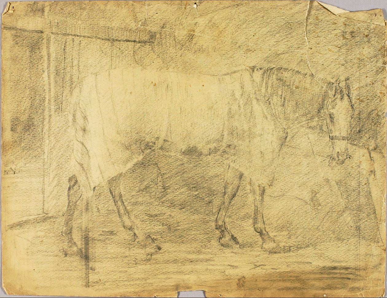 Caballo de Solon H. Borglum